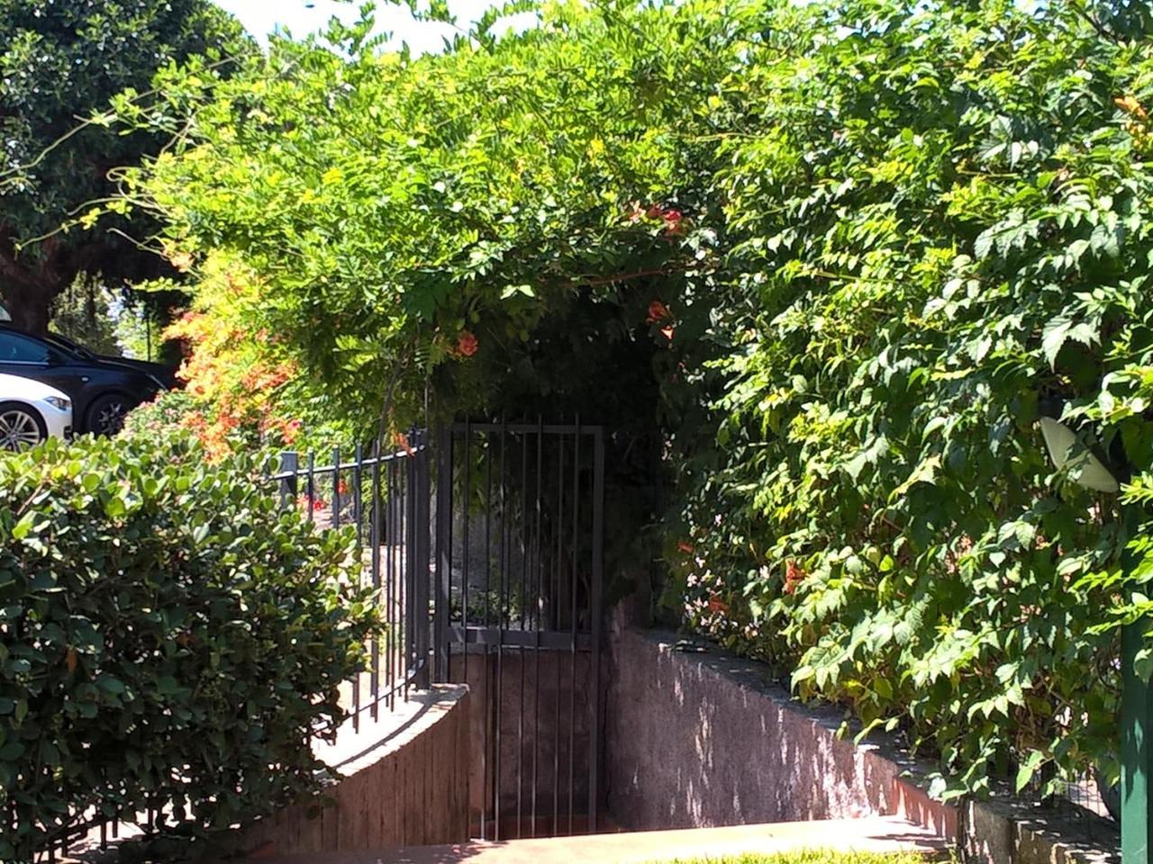 הוילה מסקלי Casa Michelangela מראה חיצוני תמונה